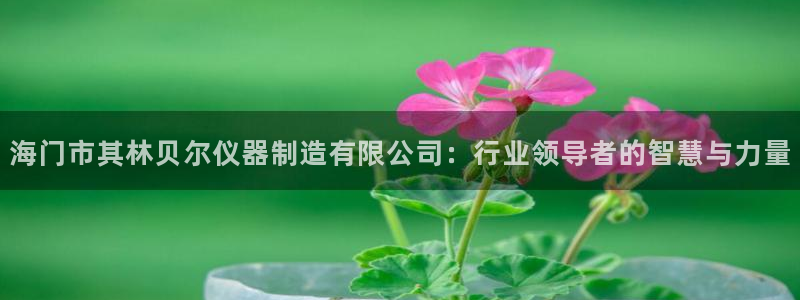 彩神v：海门市其林贝尔仪器制造有限公司：行业领导者的智慧与力量
