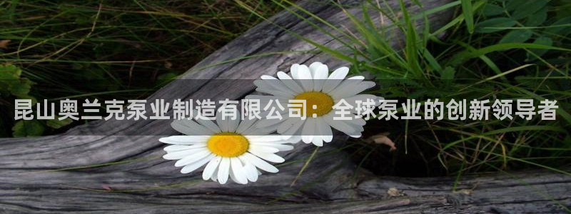 在彩神网输了六万多怎么拿回来：昆山奥兰克泵业制造有限公司：全球泵业的创新领导者