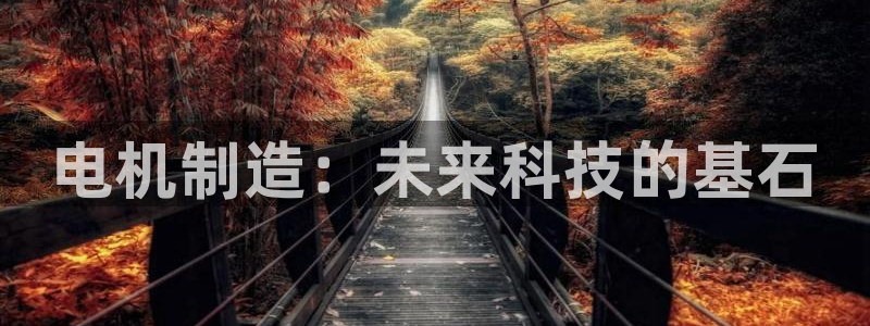 彩神vll购彩大厅大众：电机制造：未来科技的基石