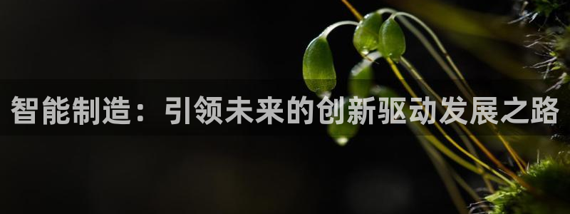 彩神viii下载安卓：智能制造：引领未来的创新驱动发展之路