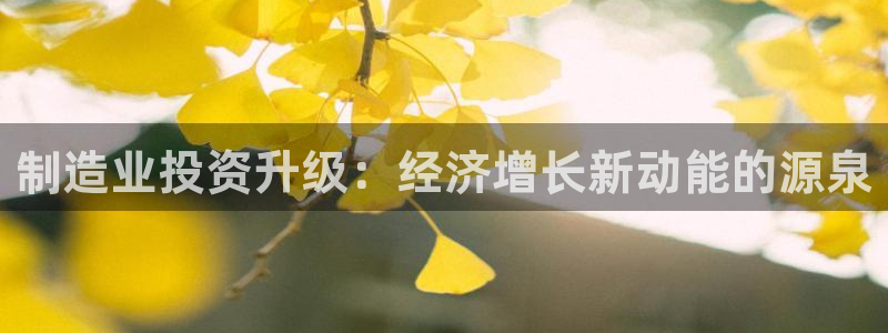 彩神ll能赚钱吗：制造业投资升级：经济增长新动能的源泉