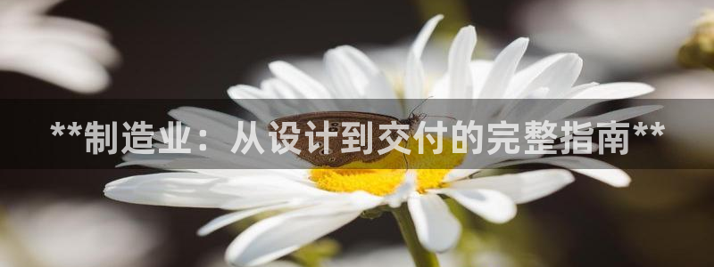 彩神正规吗：**制造业：从设计到交付的完整指南**